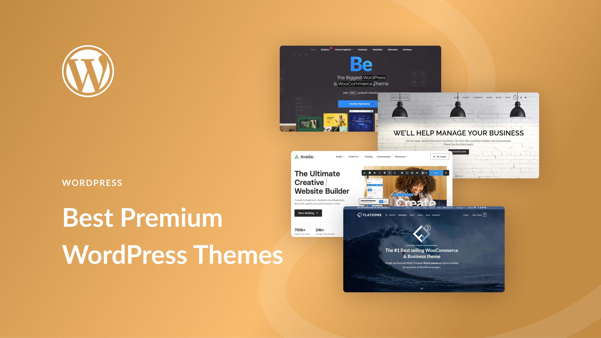 wordpress-themes